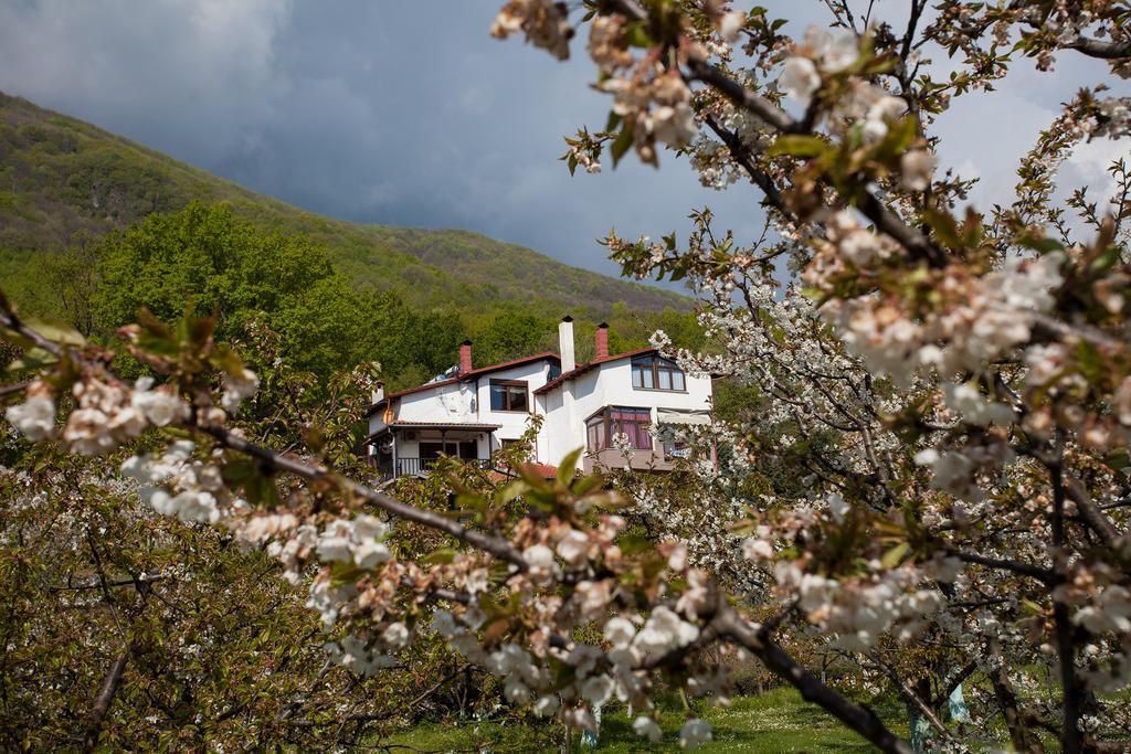 Militsa Guesthouse Naousa  Buitenkant foto