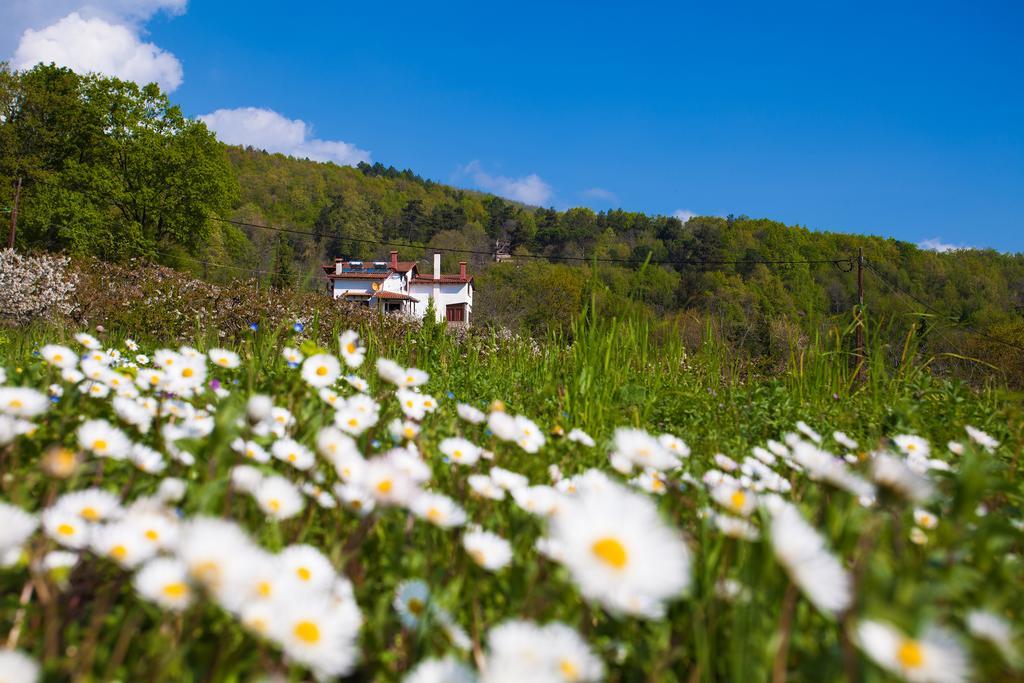 Militsa Guesthouse Naousa  Buitenkant foto