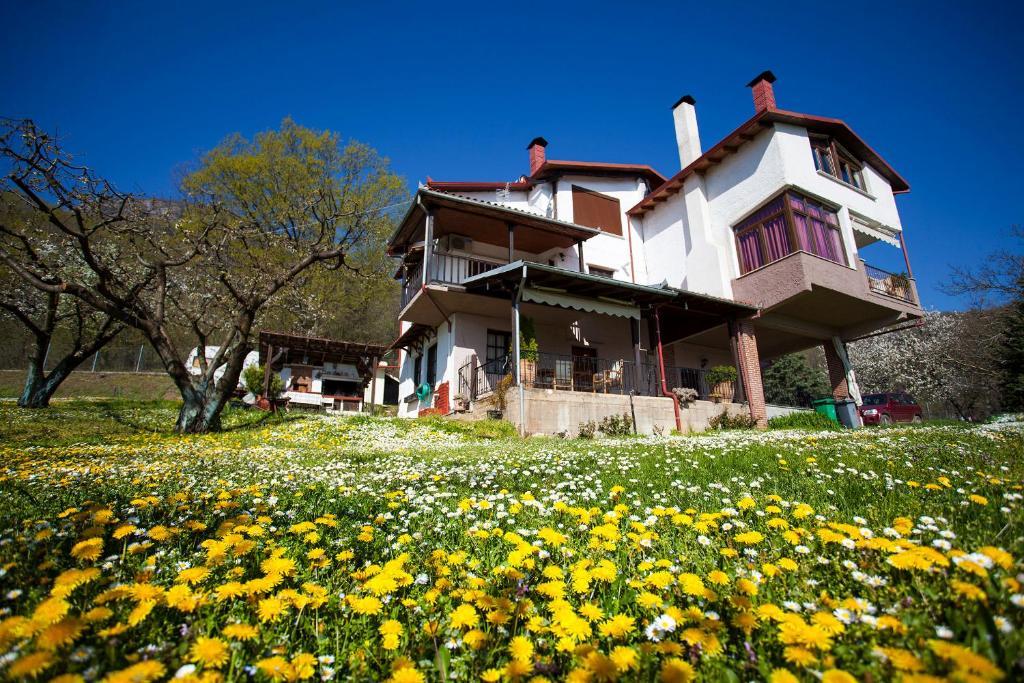 Militsa Guesthouse Naousa  Buitenkant foto