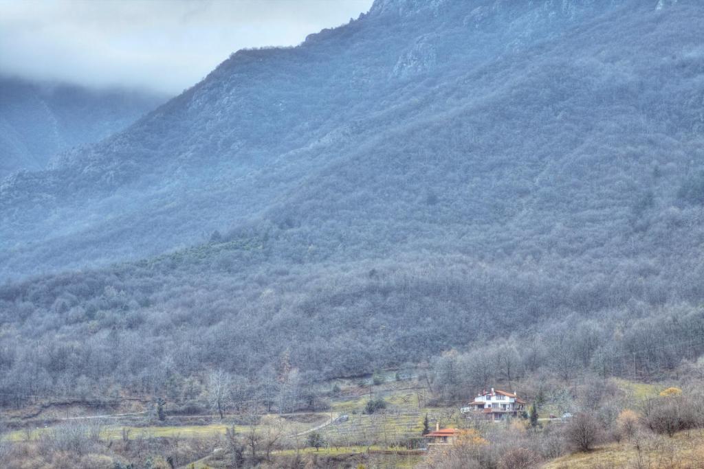 Militsa Guesthouse Naousa  Buitenkant foto